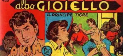 Cover of Il Principe Tigre