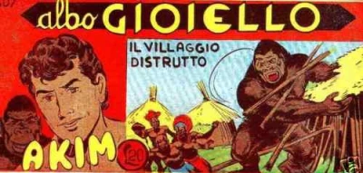 Cover of Il Villaggio Distrutto