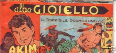 Cover of Il Terribile Boomerang
