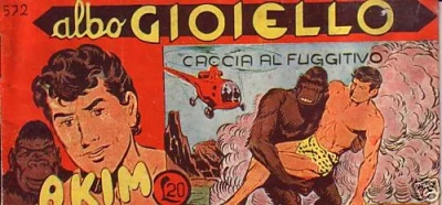 Cover of Caccia al Fuggitivo
