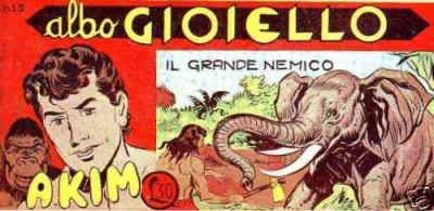 Cover of Il Grande Nemico