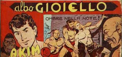 Cover of Ombre nella Notte