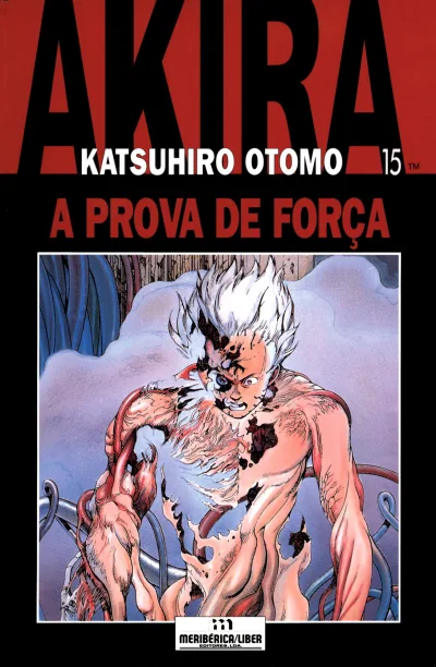 Cover of Volume #15