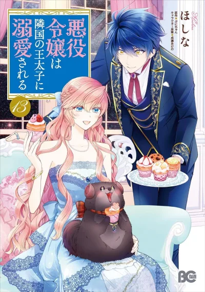 Cover of Vol. 13