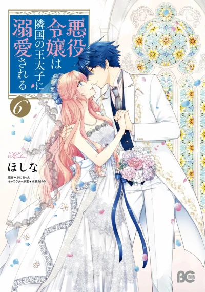 Cover of Vol. 6