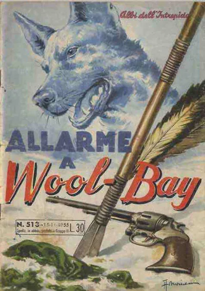 Cover of Allarme a Wool-Boy