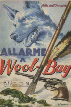 Allarme a Wool-Boy