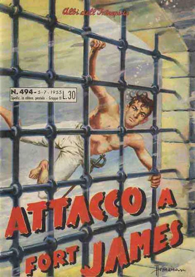 Cover of Atacco a Fort James