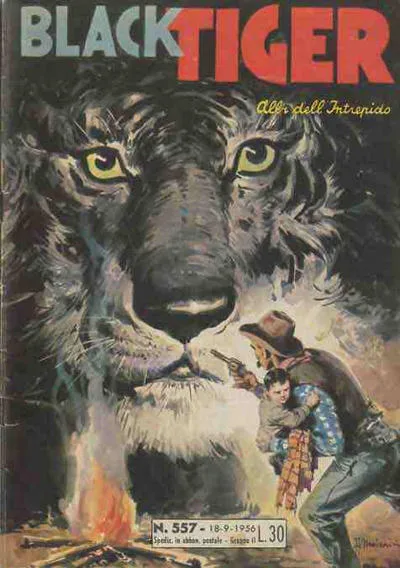 Cover of Black Tiger