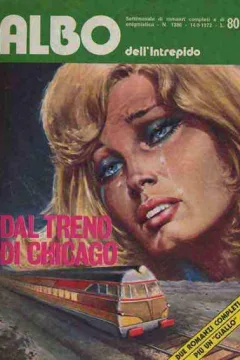 Dal treno di Chicago