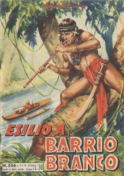 Cover of Esilo a Barrio Branco