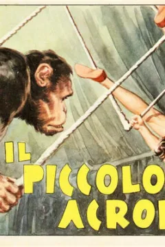 Il Piccolo Acrobata