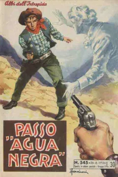 Passo "Agua Negra"