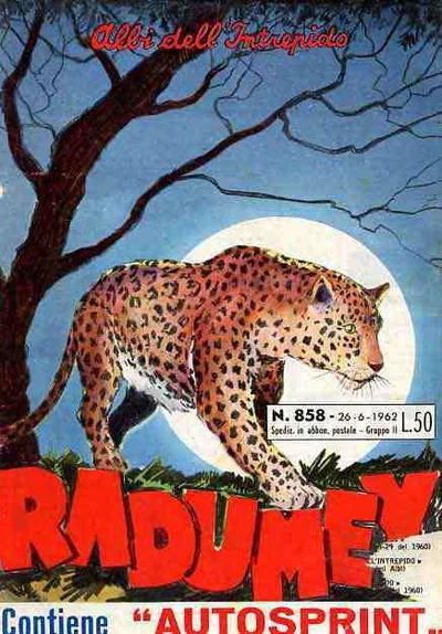 Cover of Radumey