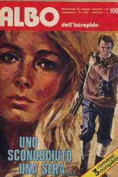 Uno sconosciuto una sera