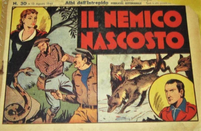 Cover of Il Nemico Nascosto