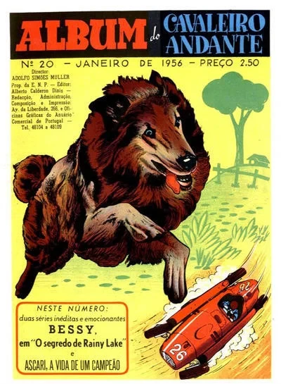 Cover of Bessy em "O segredo de Rainy Lake"