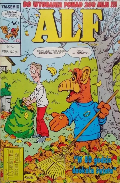 Cover of Issue #17