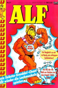 Body-Builder