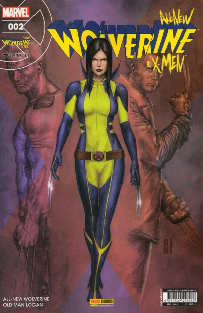 Cover of Folie furieuse