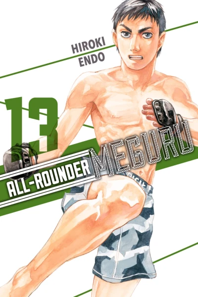 Cover of Vol. 13