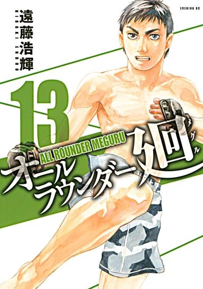 Cover of Volume 13