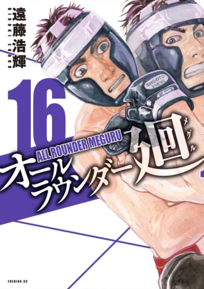 Cover of Volume 16