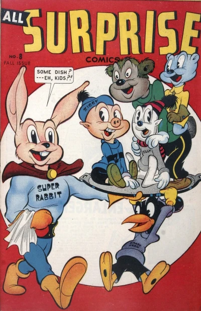 Cover of Silly's Coat