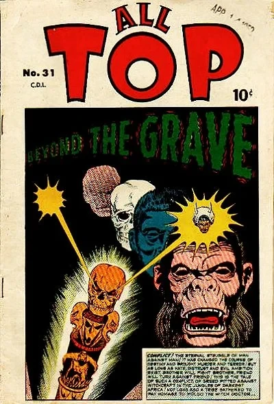 Cover of Beyond the Grave