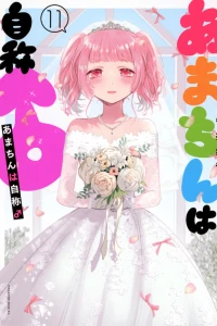 Vol. 11