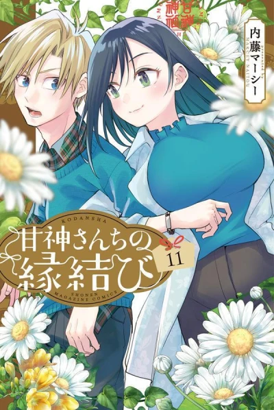 Cover of Volume 11