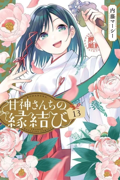 Cover of Volume 13
