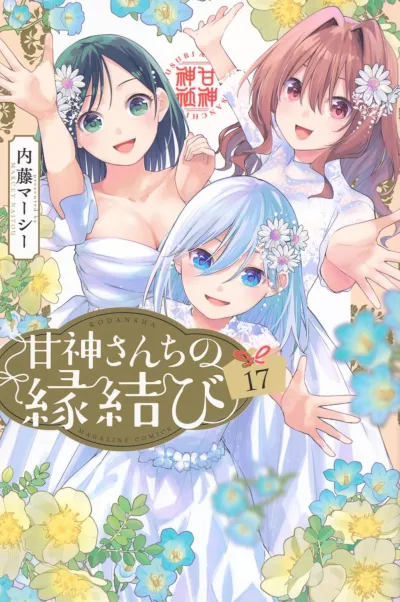 Cover of Volume 17