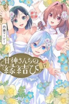 Volume 17