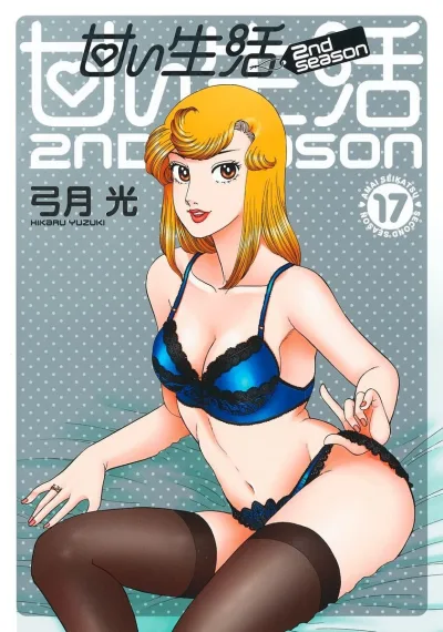 Cover of Vol. 17