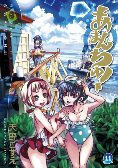 Cover of Vol. 11