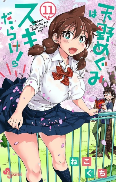 Cover of Vol. 11
