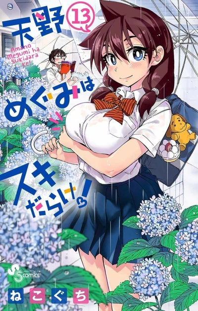 Cover of Vol. 13
