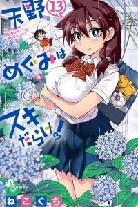 Vol. 13