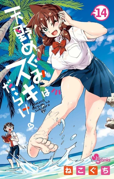 Cover of Vol. 14