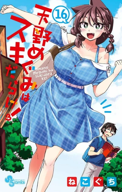 Cover of Vol. 16
