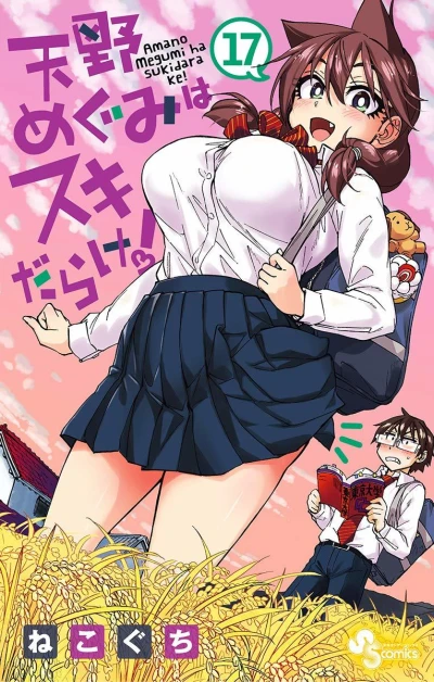 Cover of Vol. 17