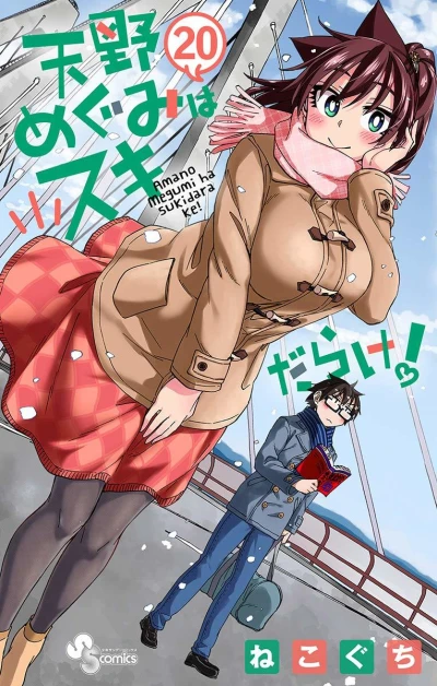 Cover of Vol. 20