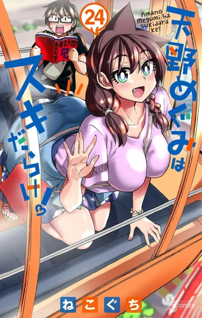 Cover of Vol. 24