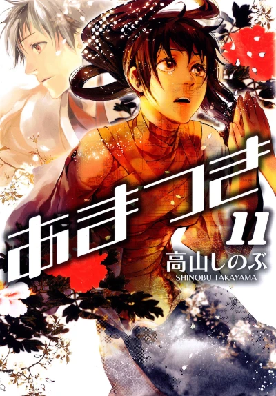 Cover of Vol. 11