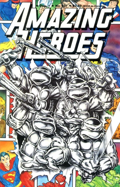 Cover of The Turtle Boys