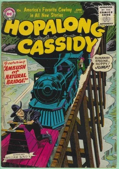 Cover of Ambush at Natural Bridge