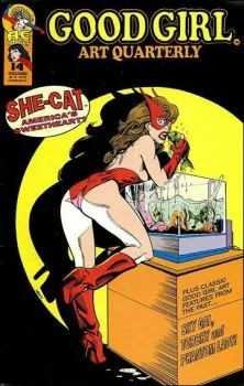 Cover of Americas sweetheart?