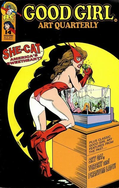 Cover of Americas sweetheart?