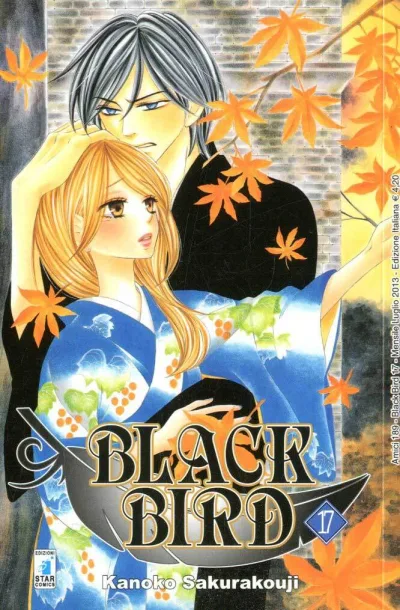 Cover of Black bird 17